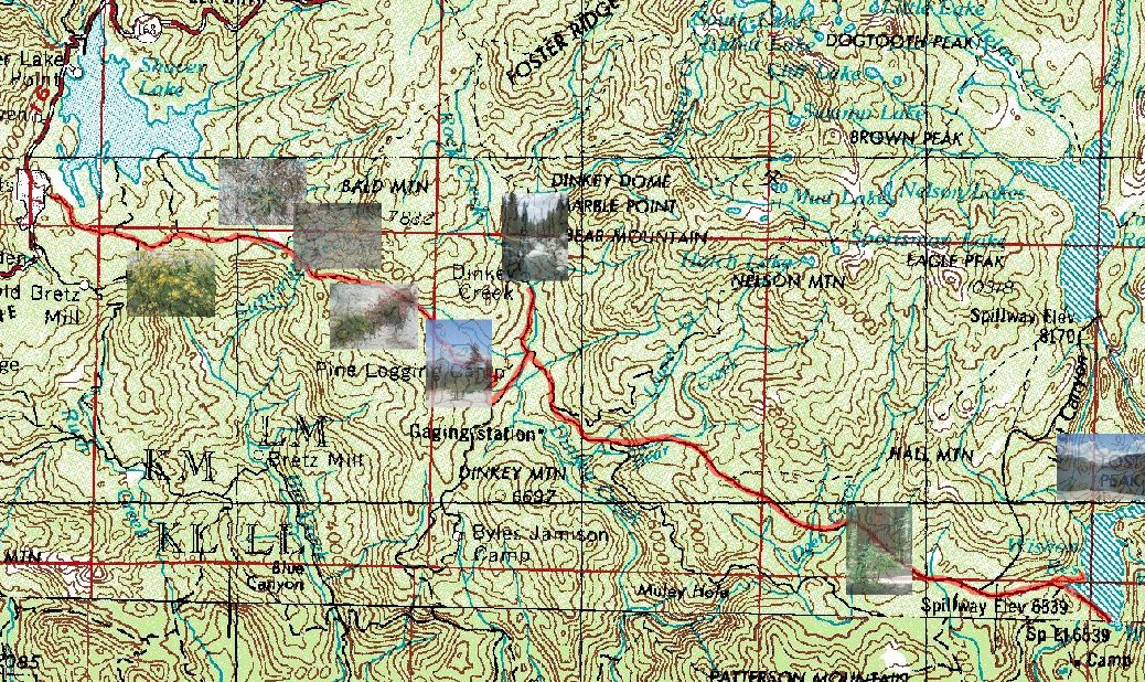 Shaver to Wishon Bike Ride