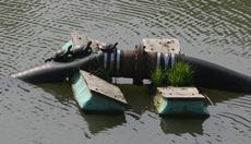 [Turtles on water pipe]