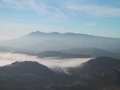 [Mount Tam and Fog]