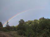 [Rainbow]
