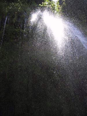 [Spray at Mossbrae Falls`]