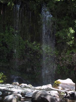 [Plumes at Mossbrae Falls]