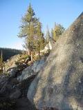 [Boulder and tree]