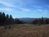 [High Sierra meadow]