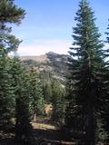 [Castle Peak with trees in foreground]