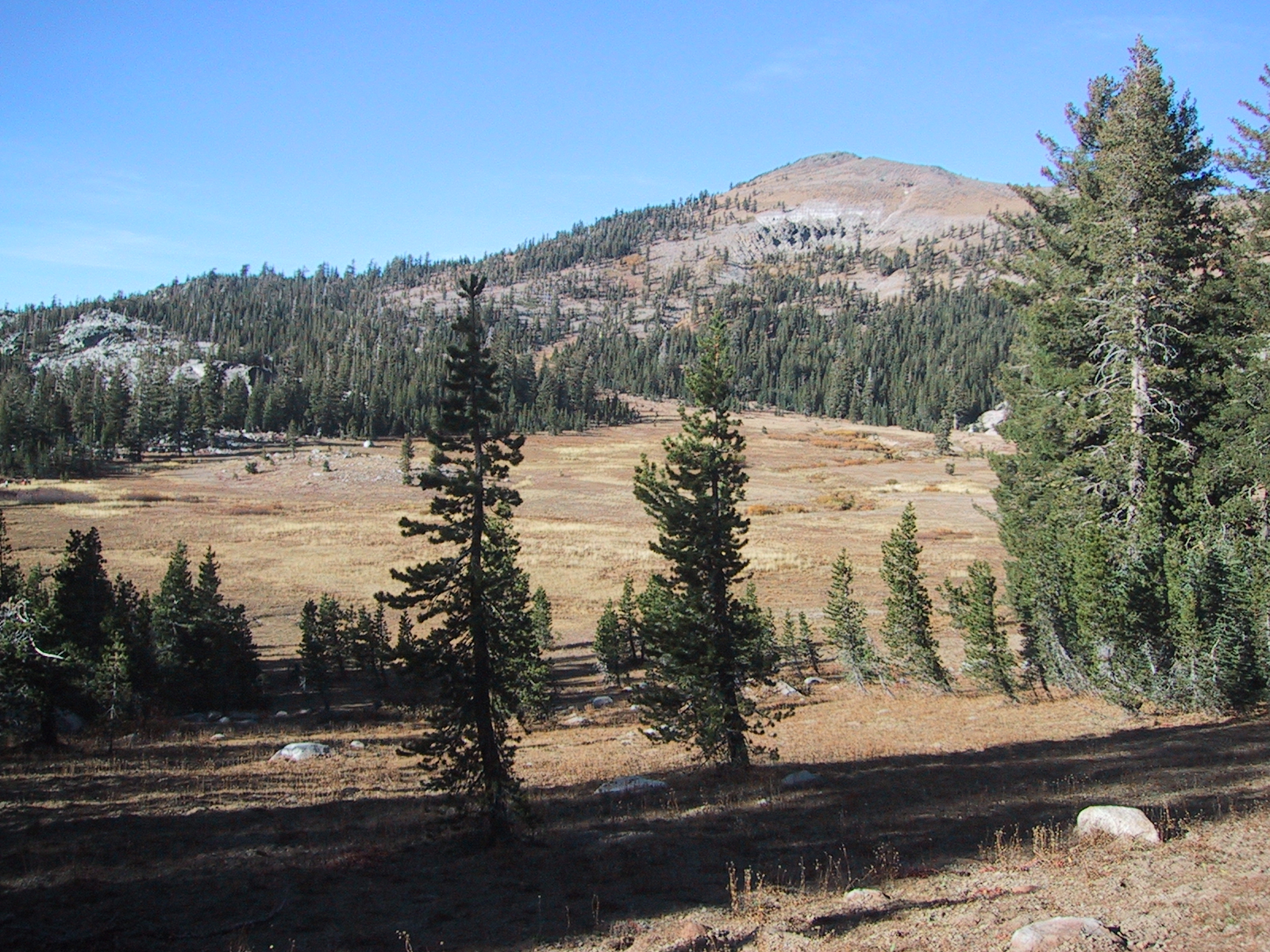 [Round Meadow]