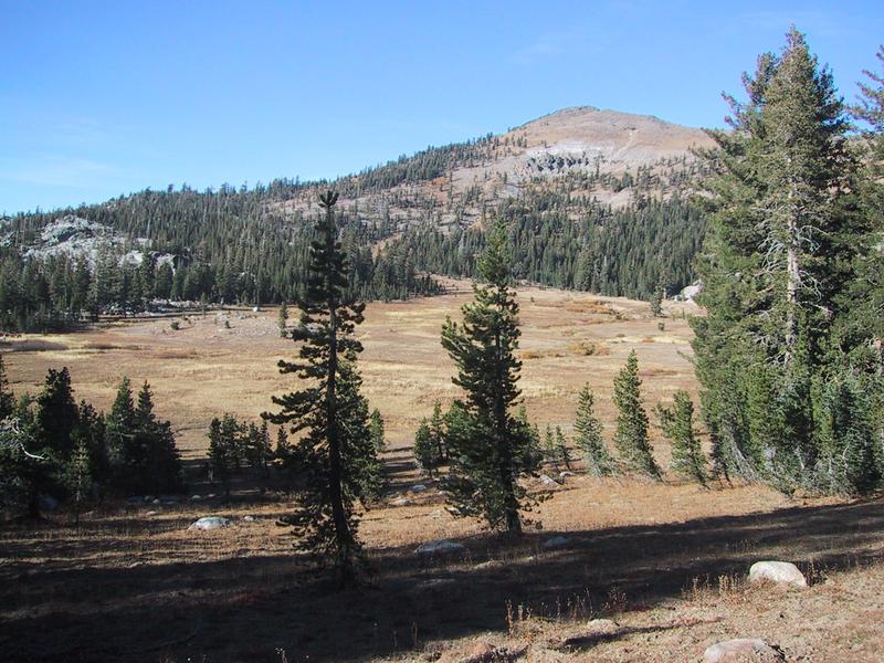 [Round Meadow]