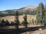 [Round Meadow]