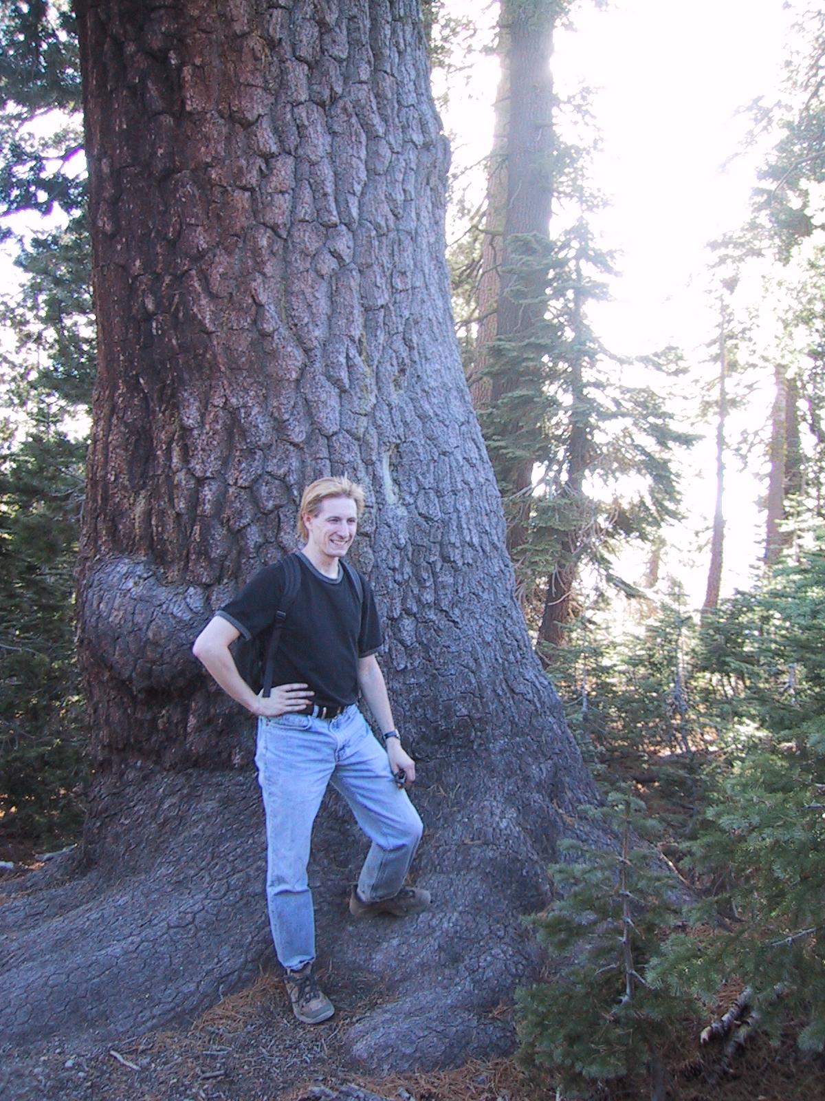 [Dave in front of Tree]