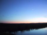 [Birds in flight over the
marsh with moon]