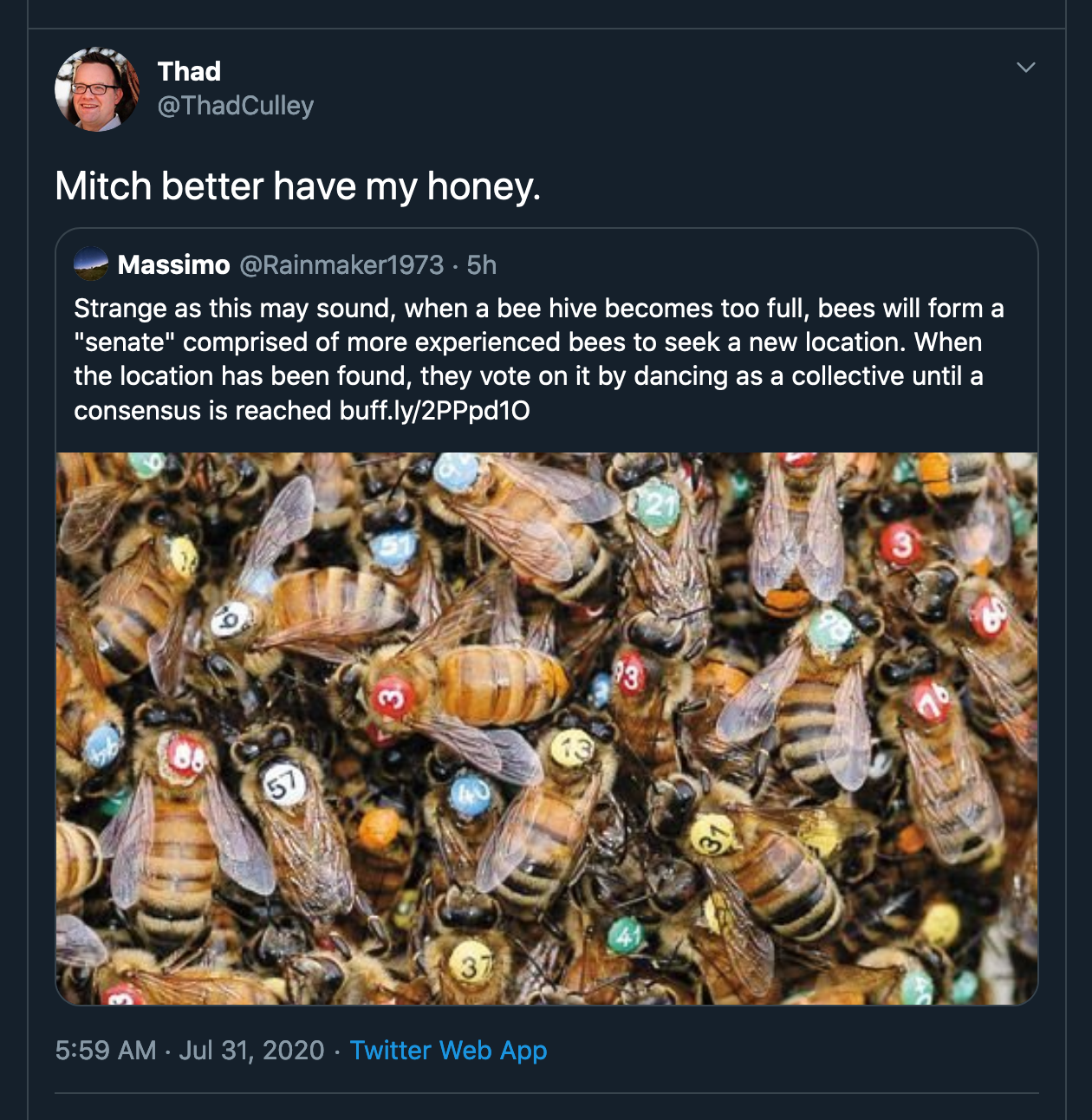 Mitch better have my honey. Quote Tweet Massimo @Rainmaker1973 Strange as this may sound, when a bee hive becomes too full, bees will form a "senate" comprised of more experienced bees to seek a new location. When the location has been found, they vote on it by dancing as a collective until a consensus is reached