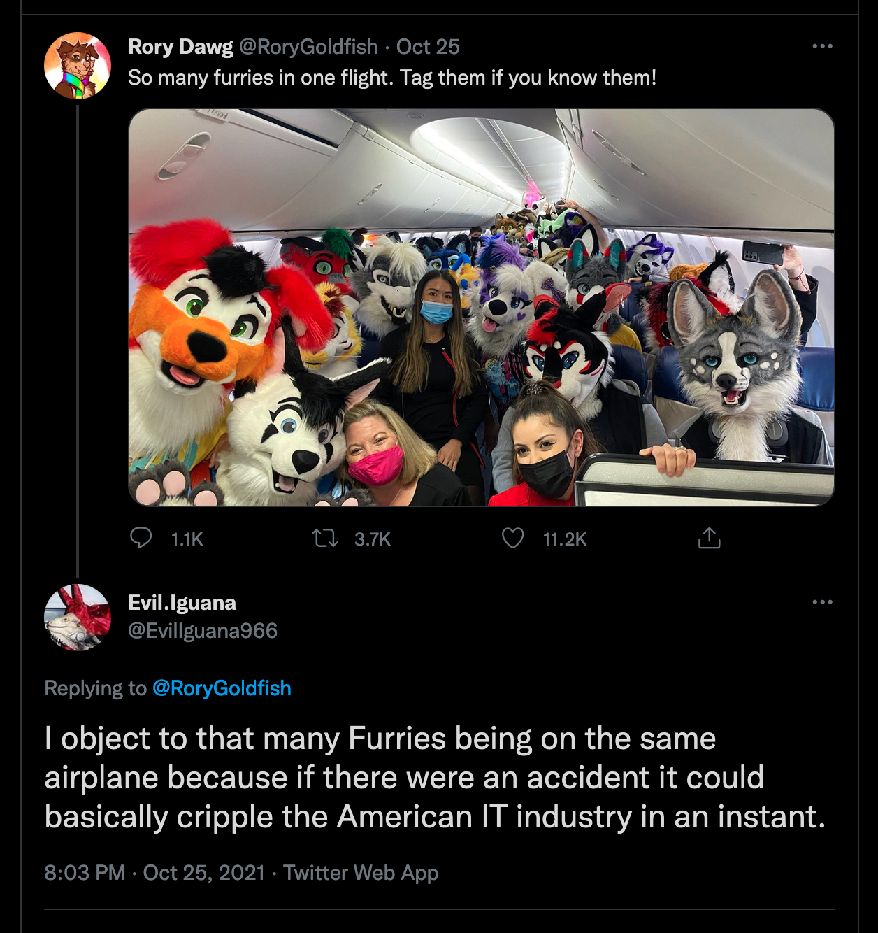 image of a tweet thread that has a picture of a bunch of furries on an airplane, text 'So many furries in one flight. Tag them if you know them!' and the reply 'I object to that many Furries being on the same airplane because if there were an accident it could basically cripple the American IT industry in an instant.'