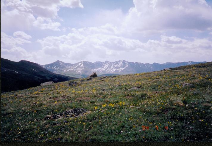 [A mountain view from Kokomo Pass]