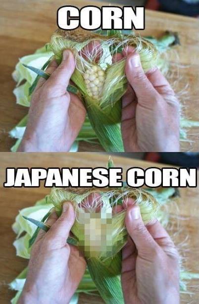 [Corn, Japanese Corn]